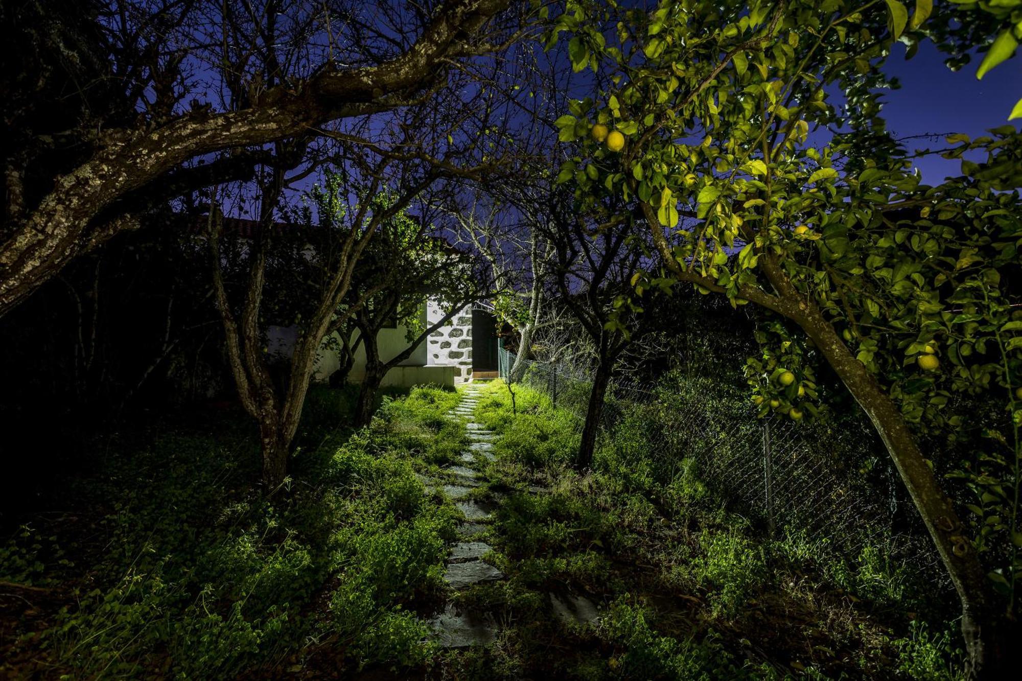 Casa Rural La Escalerilla 特罗尔 外观 照片